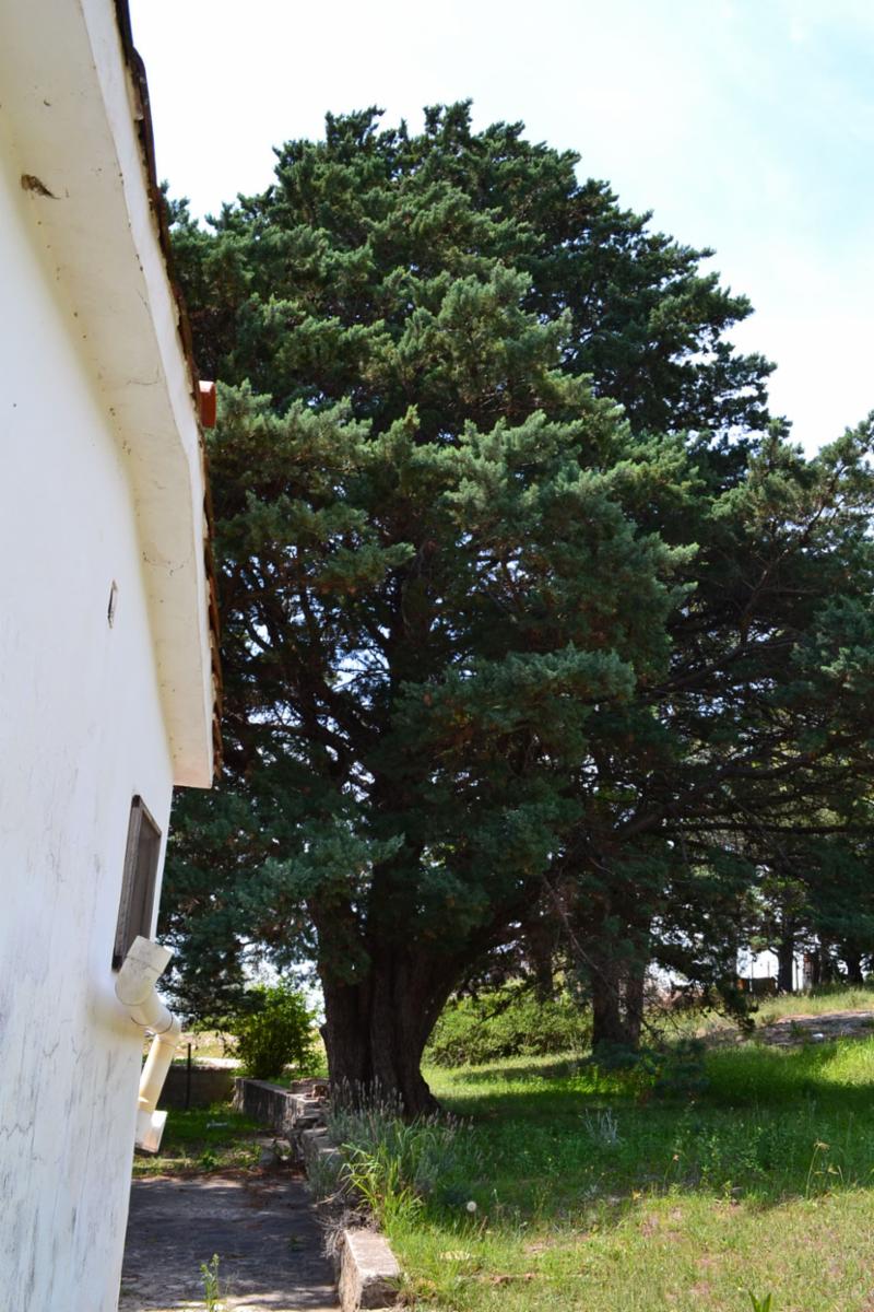 Almafuerte por Monseñor De Andrea · Punilla — foto 20