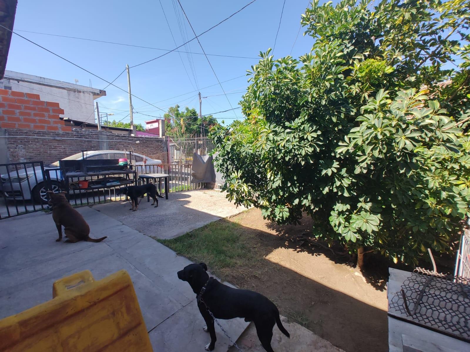 Los pinares · San Martín — foto 3