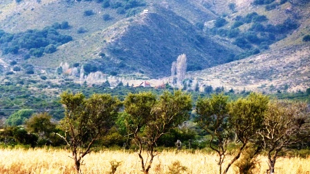 Ruta 1 Km 1500 · Chacabuco — foto 11