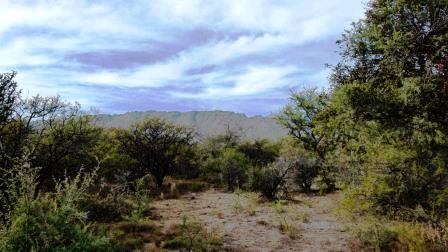 Ruta 1 Km 1500 · Chacabuco — foto 3