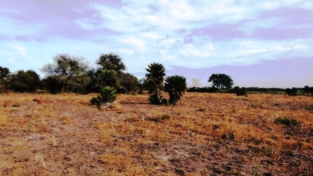 Ruta 1 Km 1500 · Chacabuco — foto 10