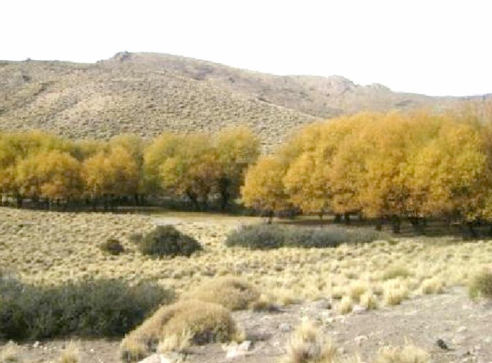 Villa Llanquin · General Roca — foto 5