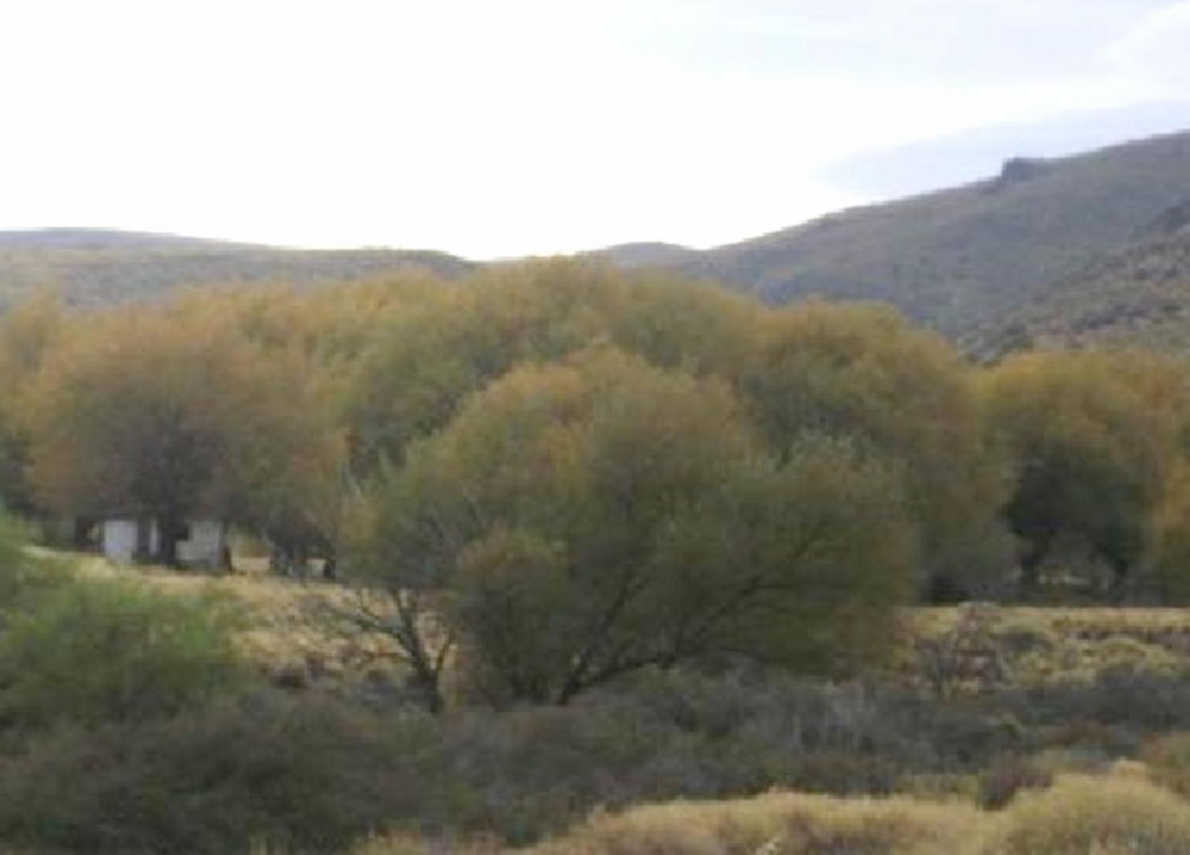 Villa Llanquin · General Roca — foto 6