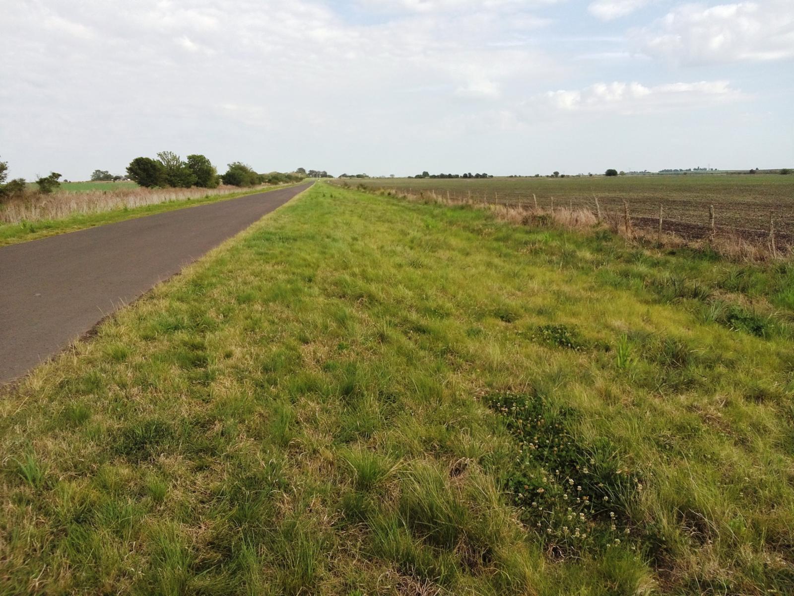 RUTA P. N° 10 Y CRUCE A PASO DE LAS P. · Paraná — foto 6