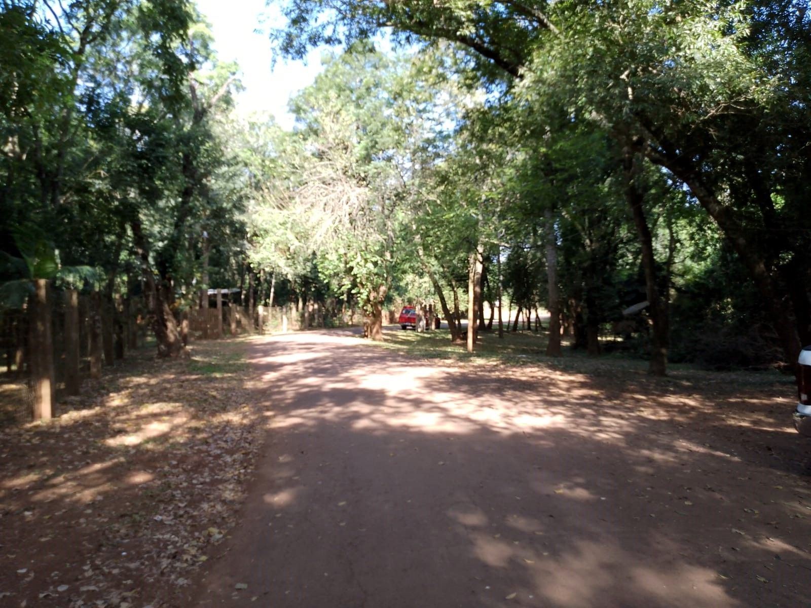 Camping Municipal Panambí · Oberá — foto 9