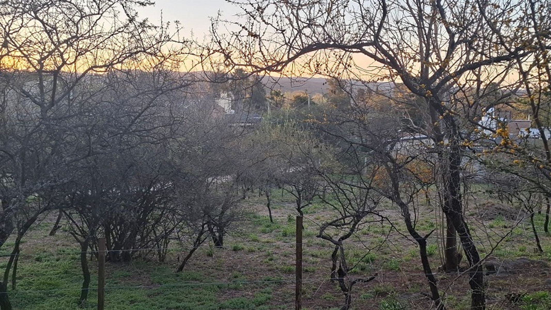 LA BOLSA TERRENO ESQUINA · Santa María — foto 3