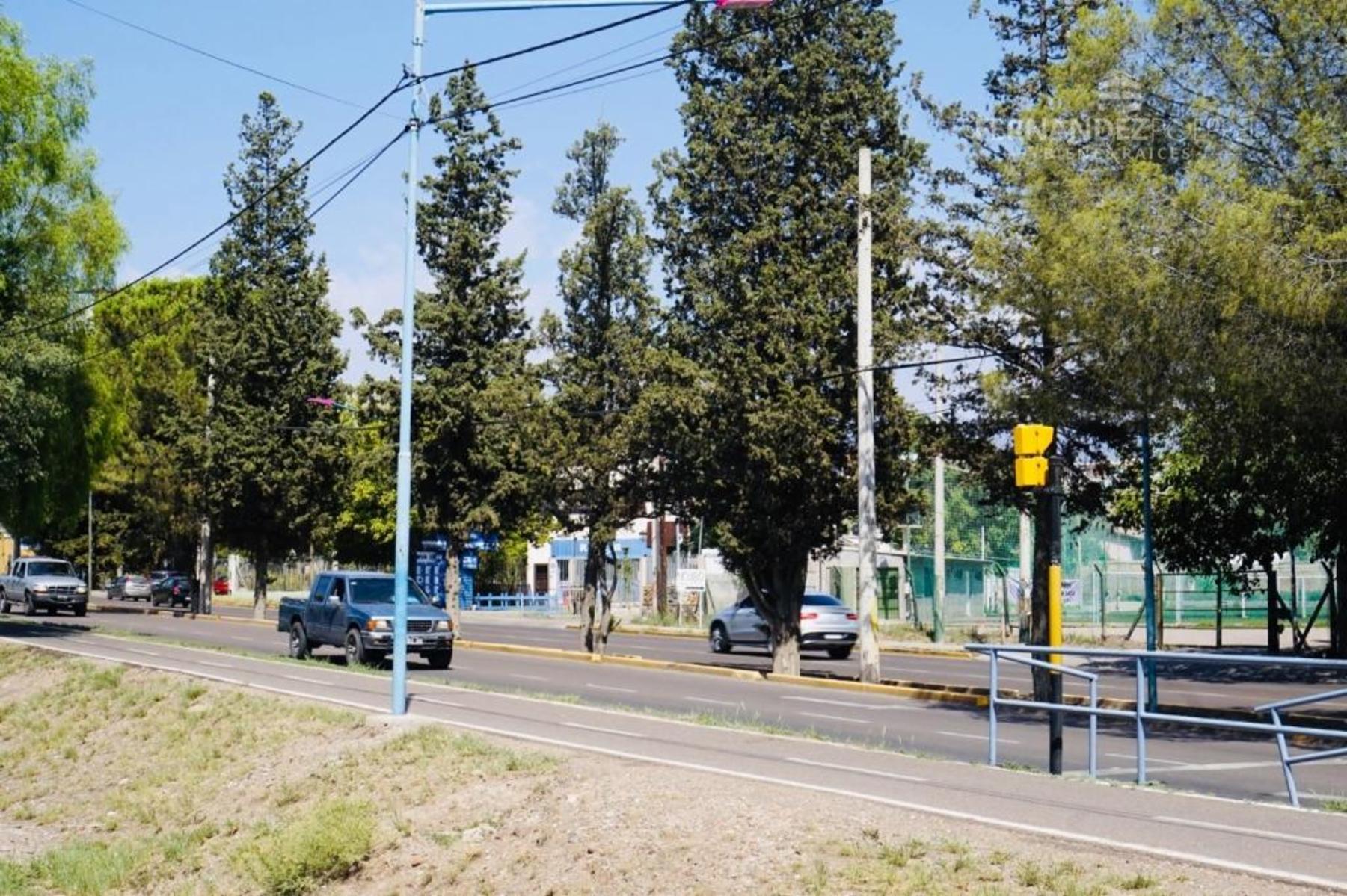 San Martin Sur 3000 · Godoy Cruz — foto 15