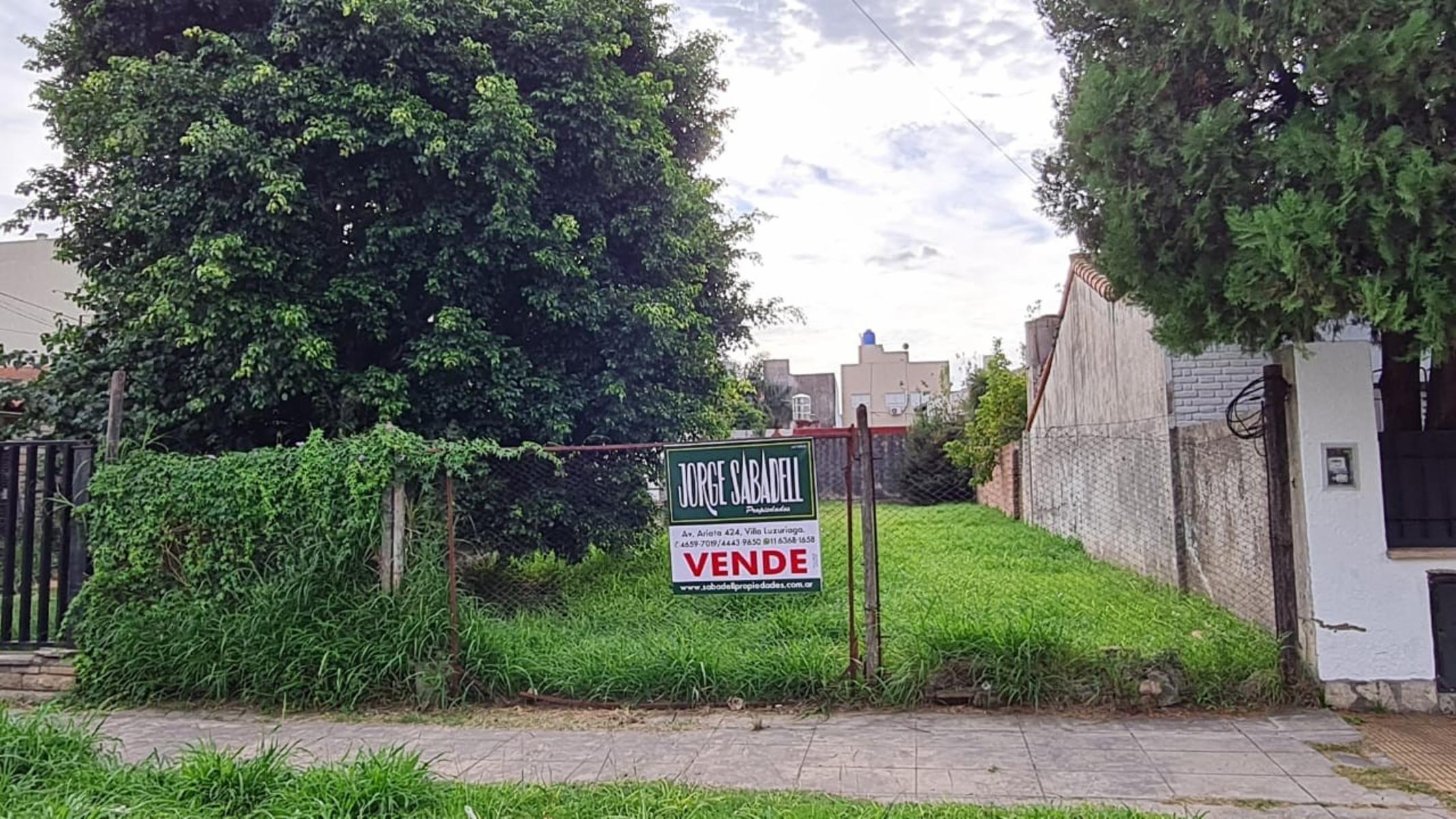 lote de 8,66 x 47,95