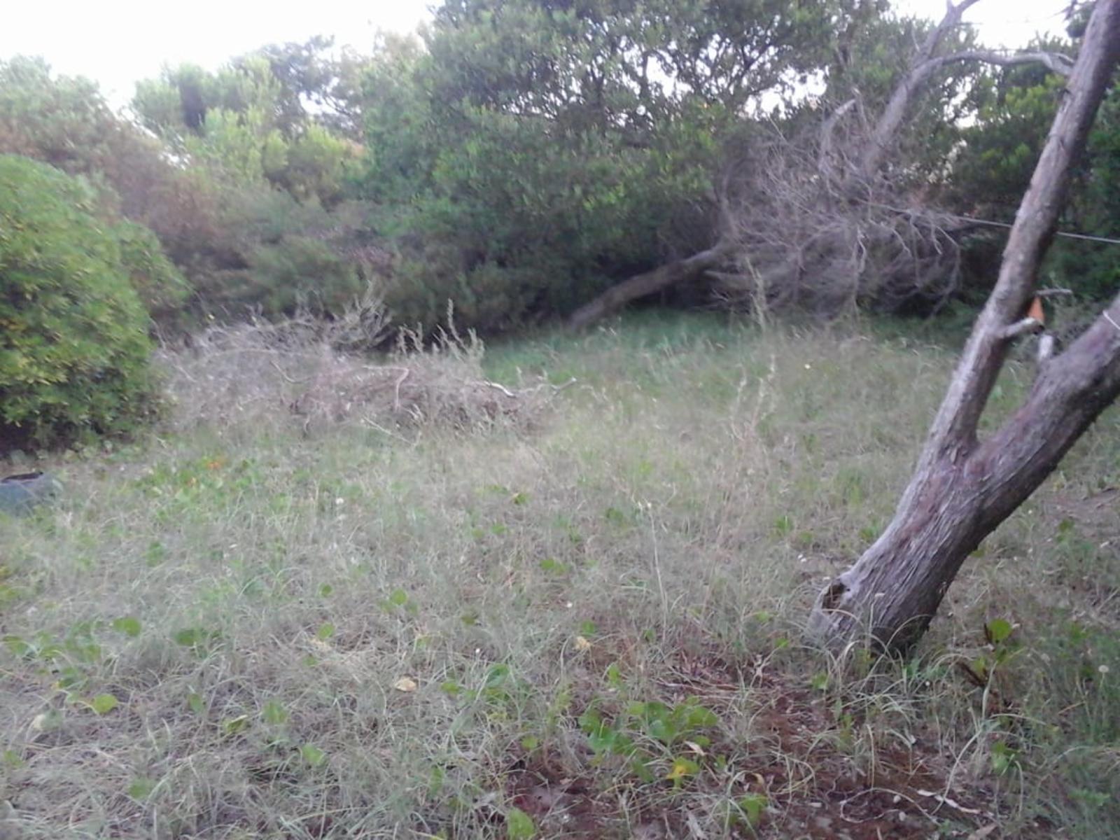 Jorge Newbery · La Costa — foto 5
