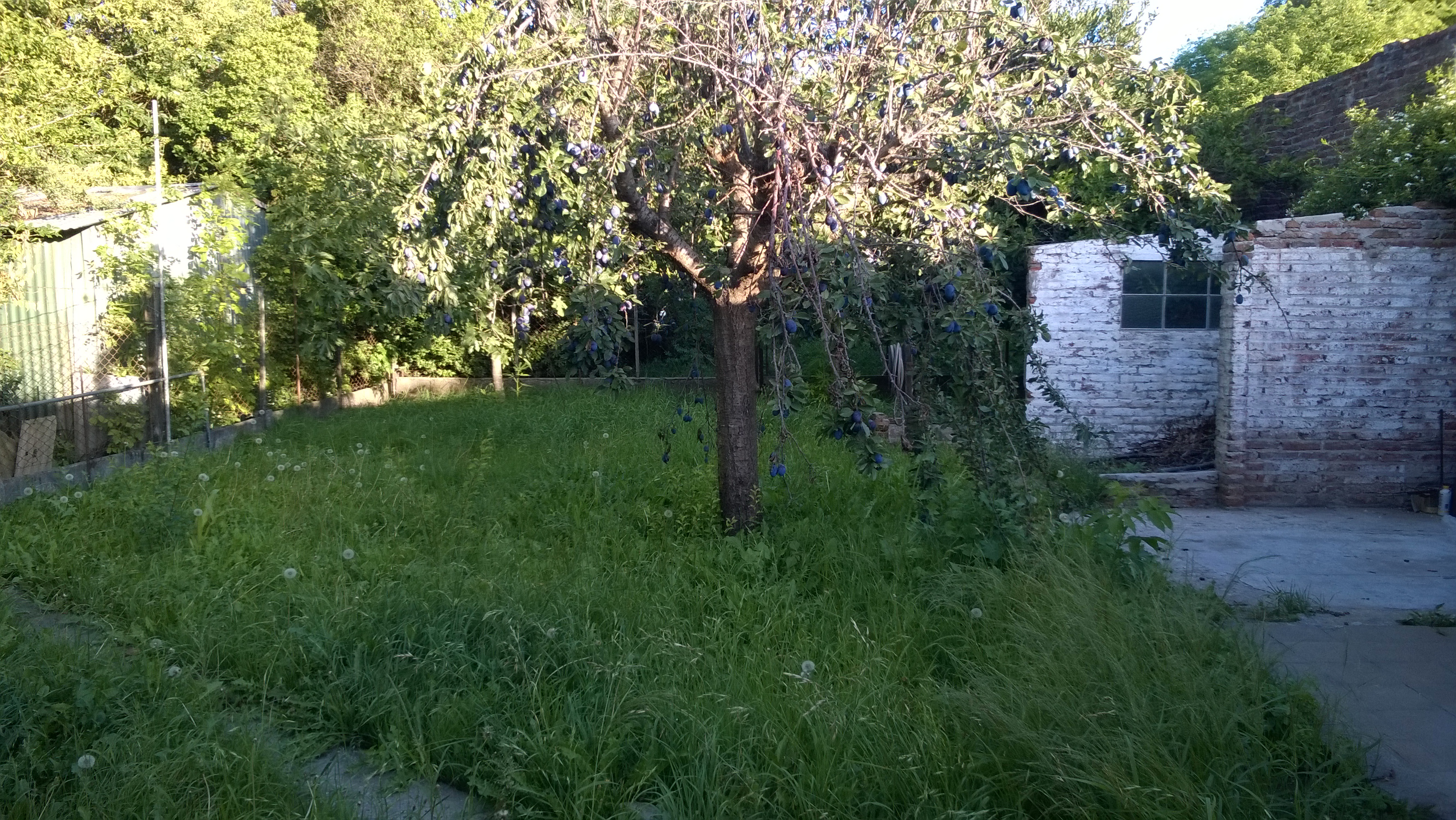 18 Nº287 · Balcarce — foto 18