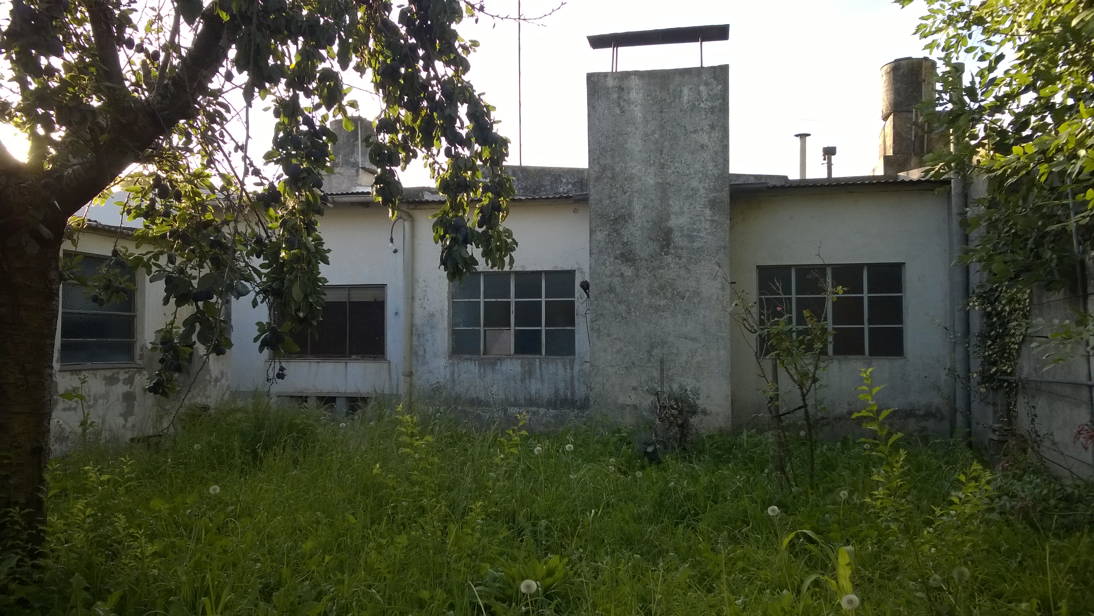 18 Nº287 · Balcarce — foto 19