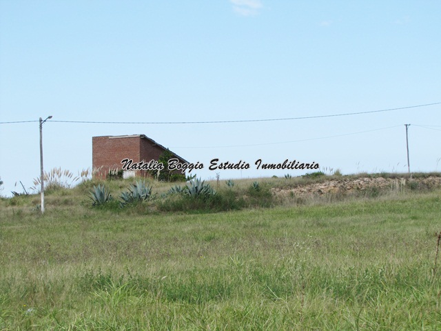 calle · General Pueyrredon — foto 5