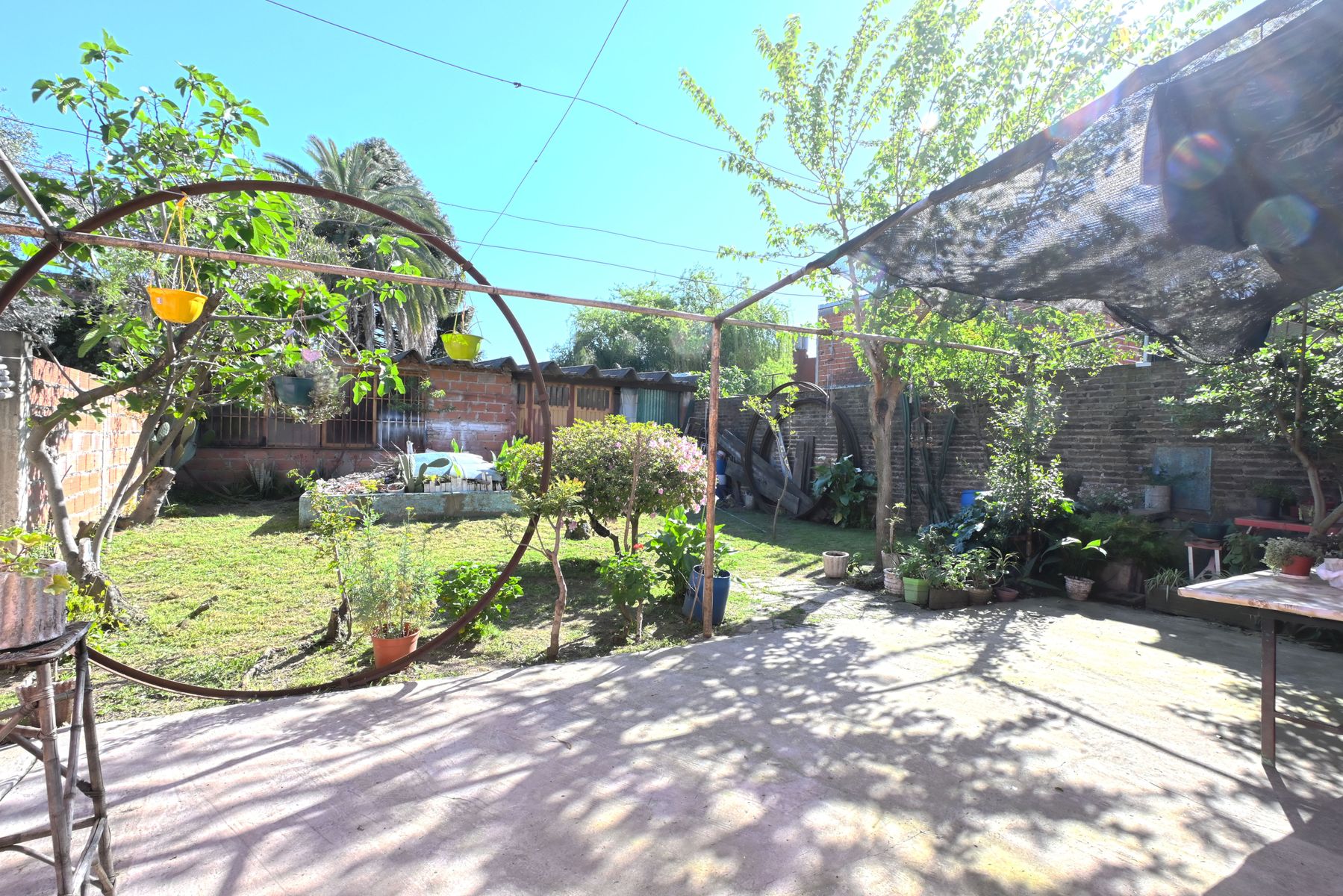 bergamini 1325 · Morón — foto 4