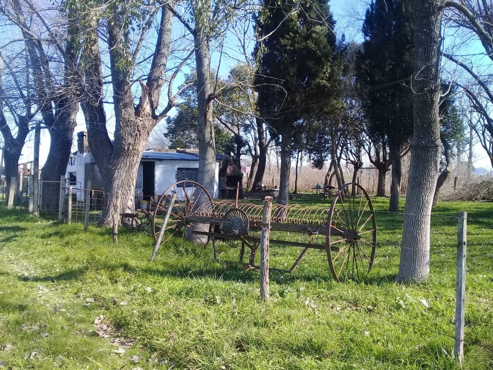 PEDRO DE ANGELIS · La Matanza — foto 4
