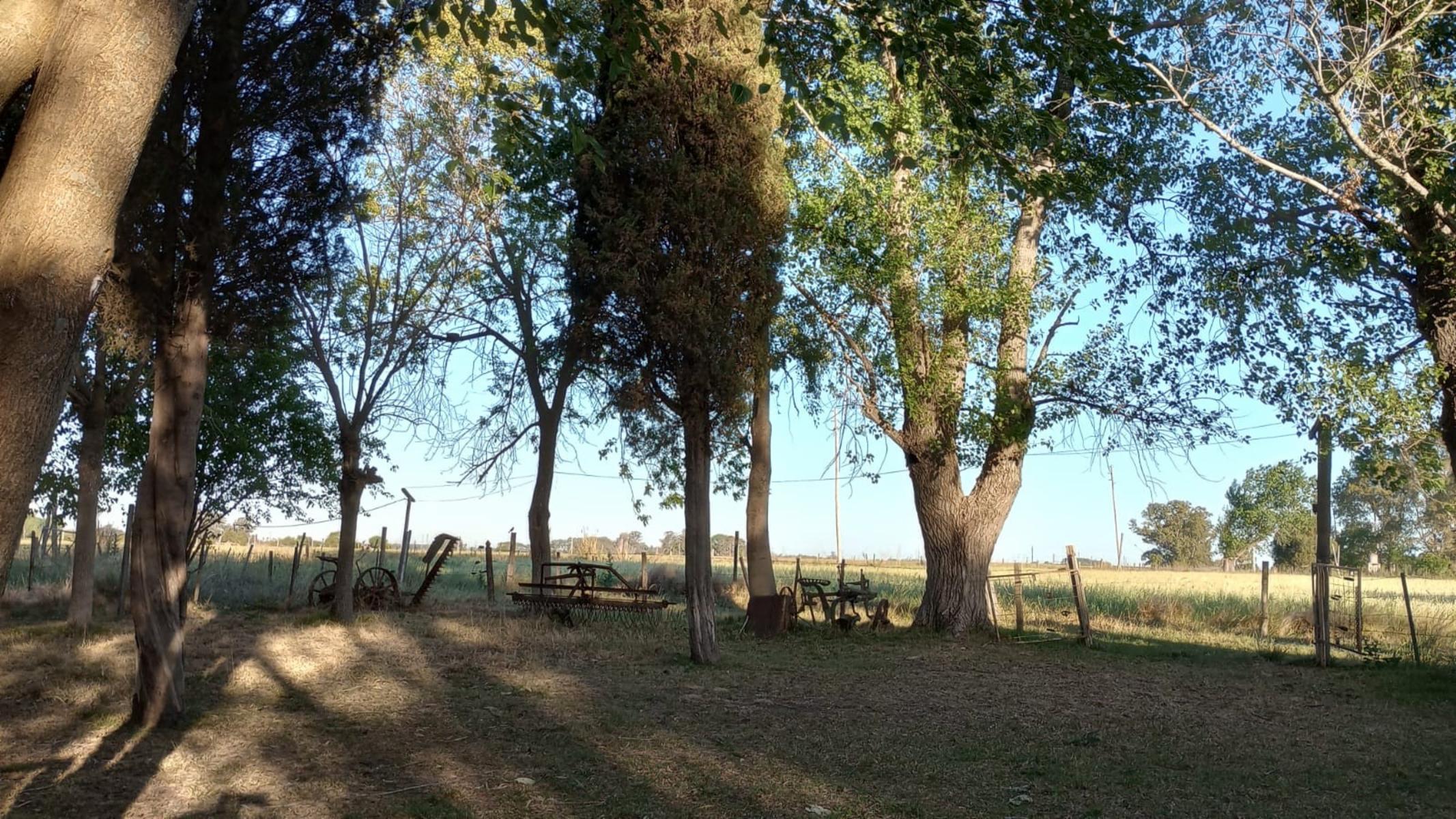 PEDRO DE ANGELIS · La Matanza — foto 5
