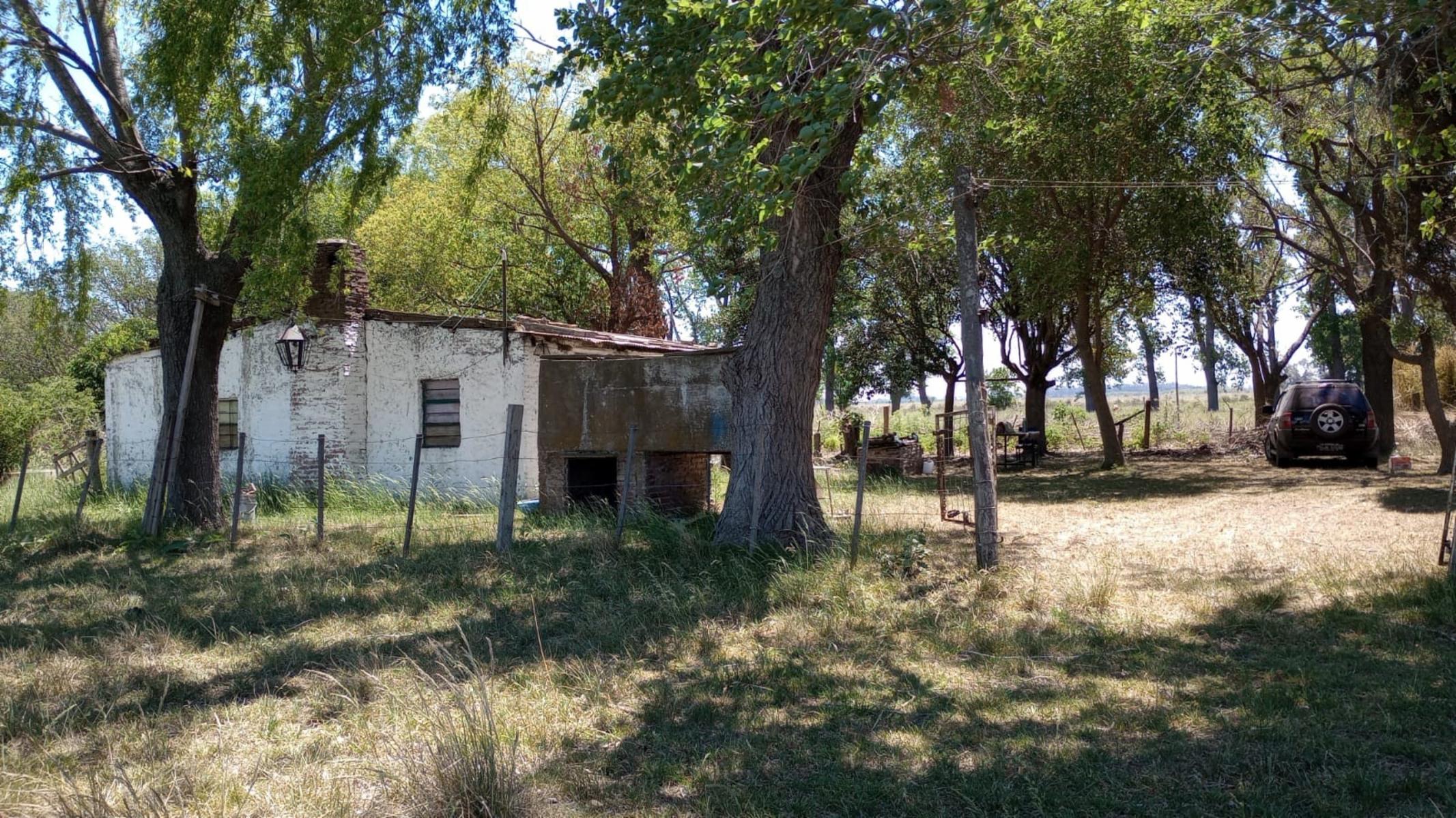 PEDRO DE ANGELIS · La Matanza — foto 6