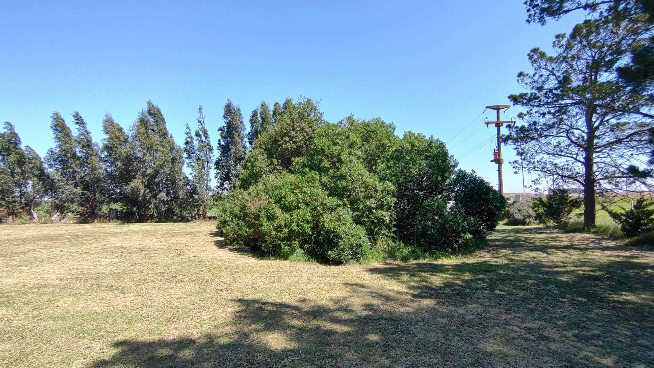 VENDO QUINTA (5 ha) EN NECOCHEA
