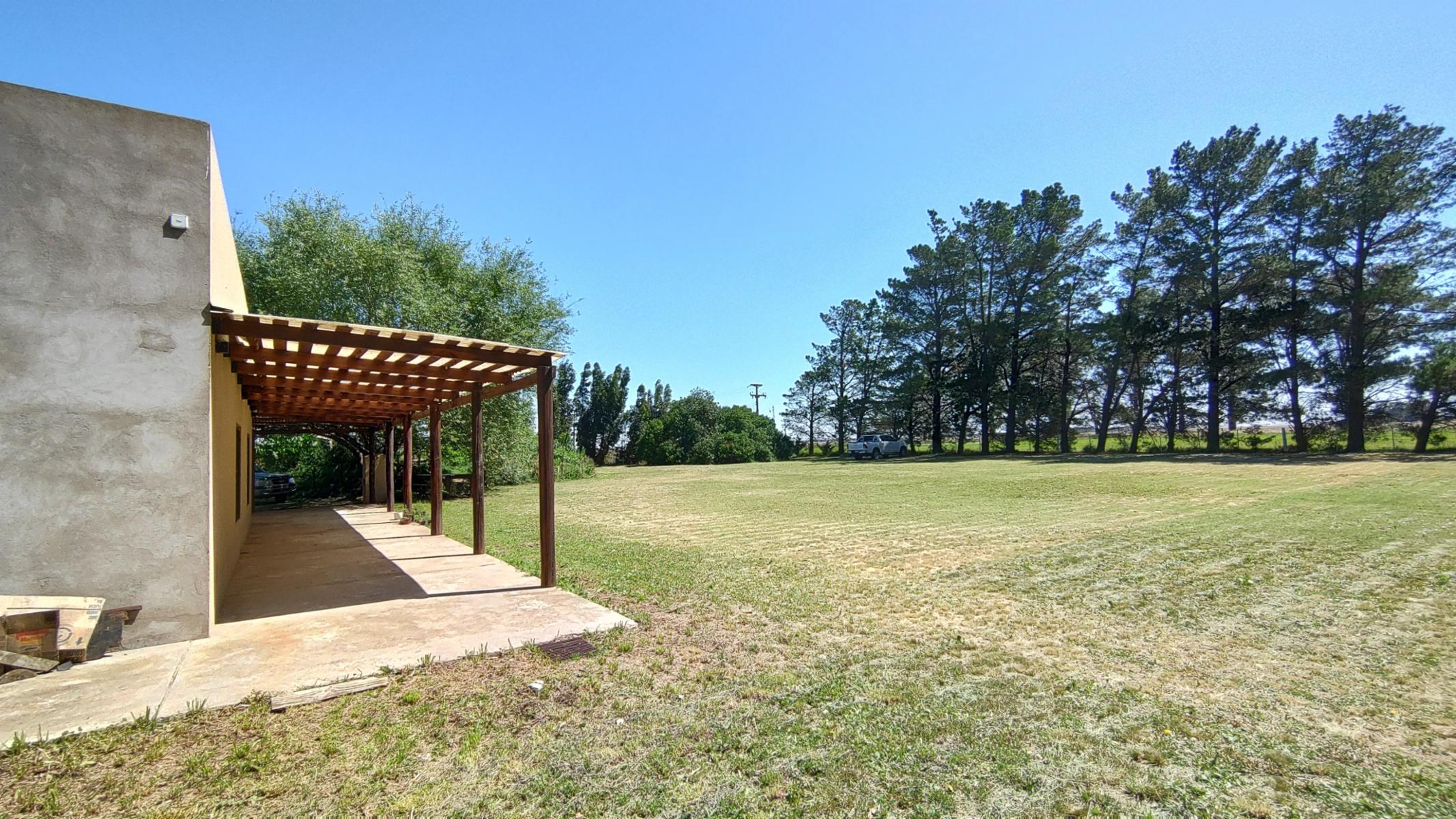 VENDO QUINTA (5 ha) (RUTA 86 KM 12-ZONA AEROCLUB NECOCHEA) · Necochea — foto 11