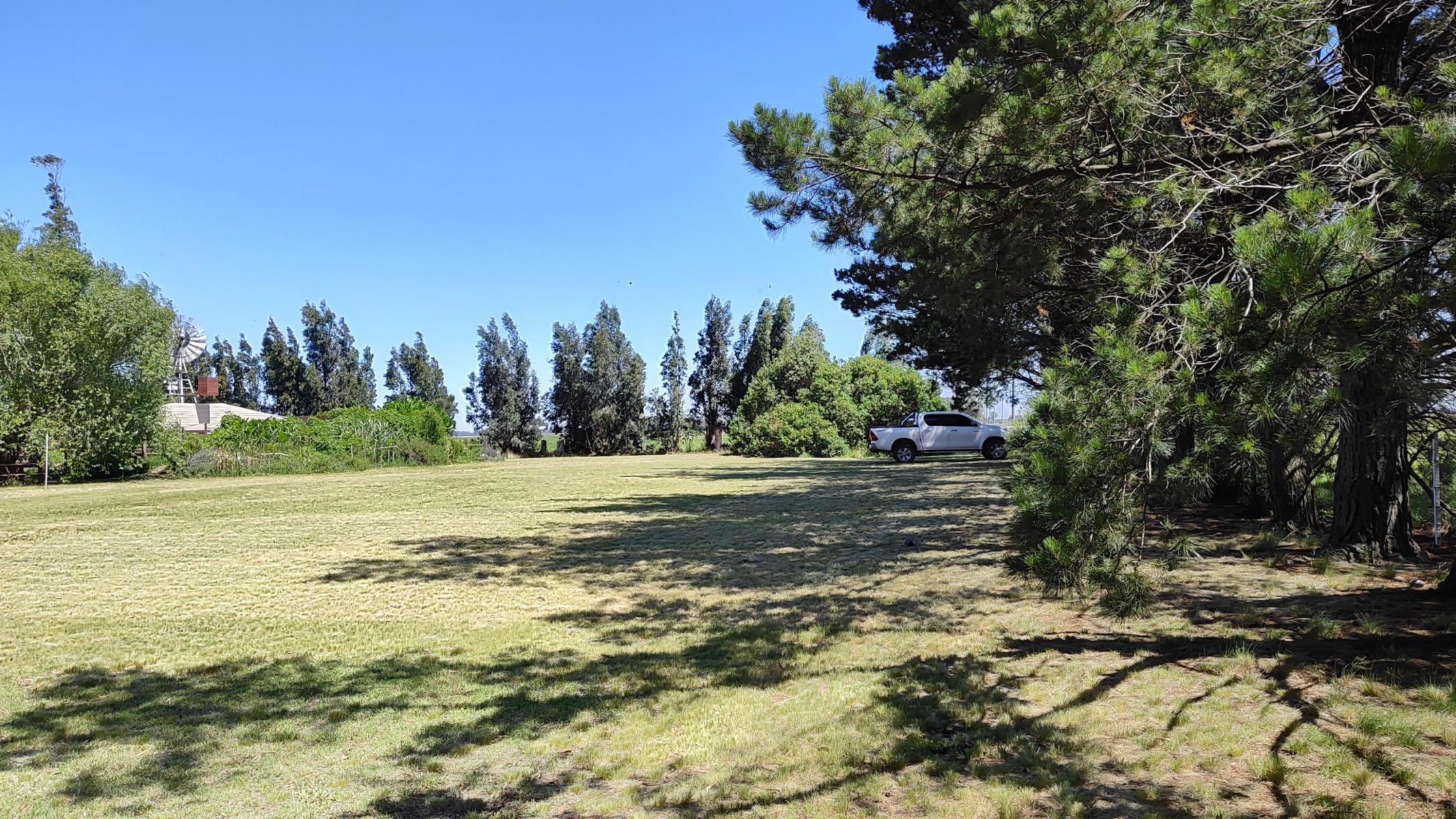 VENDO QUINTA (5 ha) (RUTA 86 KM 12-ZONA AEROCLUB NECOCHEA) · Necochea — foto 13
