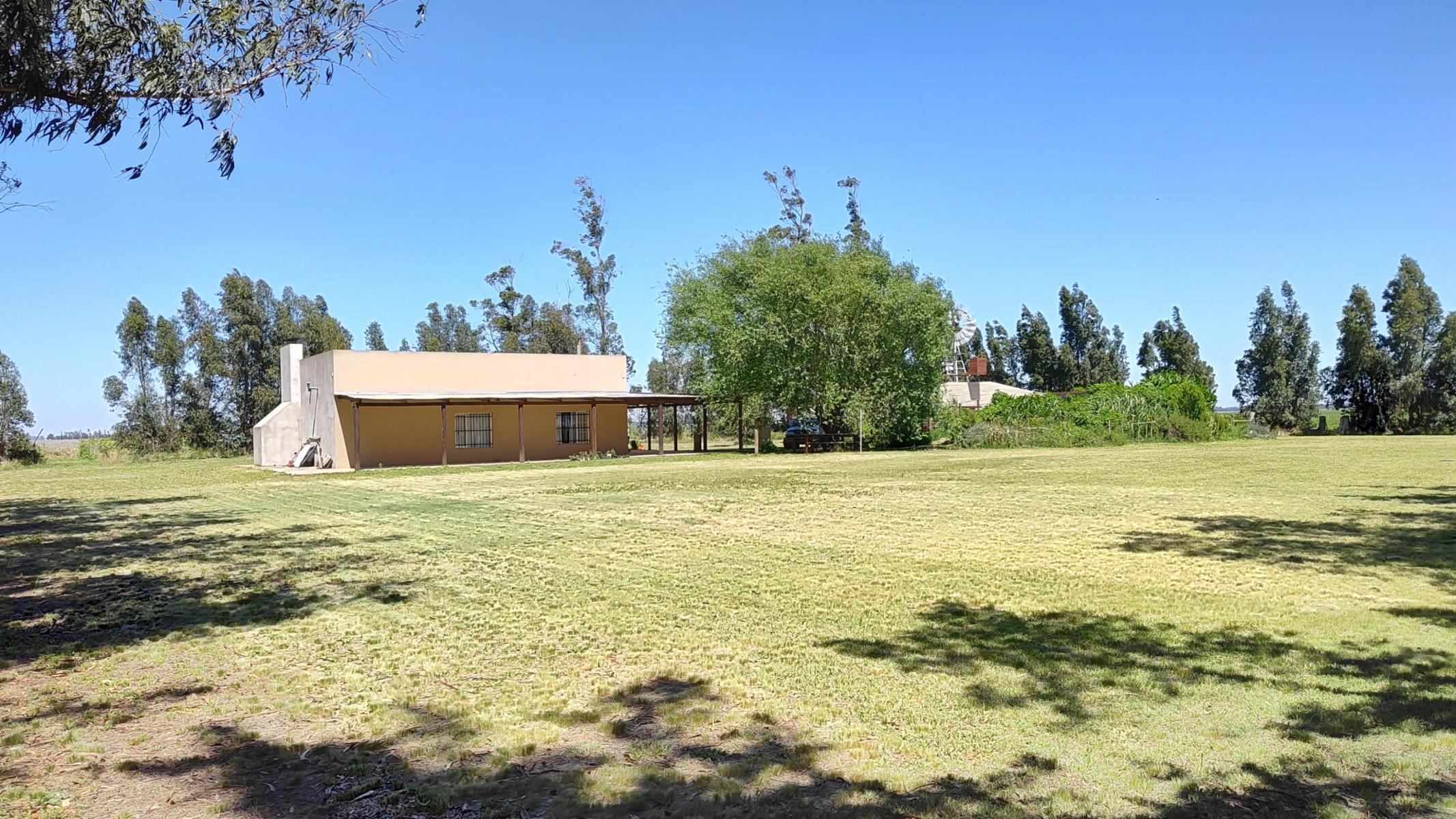 VENDO QUINTA (5 ha) (RUTA 86 KM 12-ZONA AEROCLUB NECOCHEA) · Necochea — foto 14