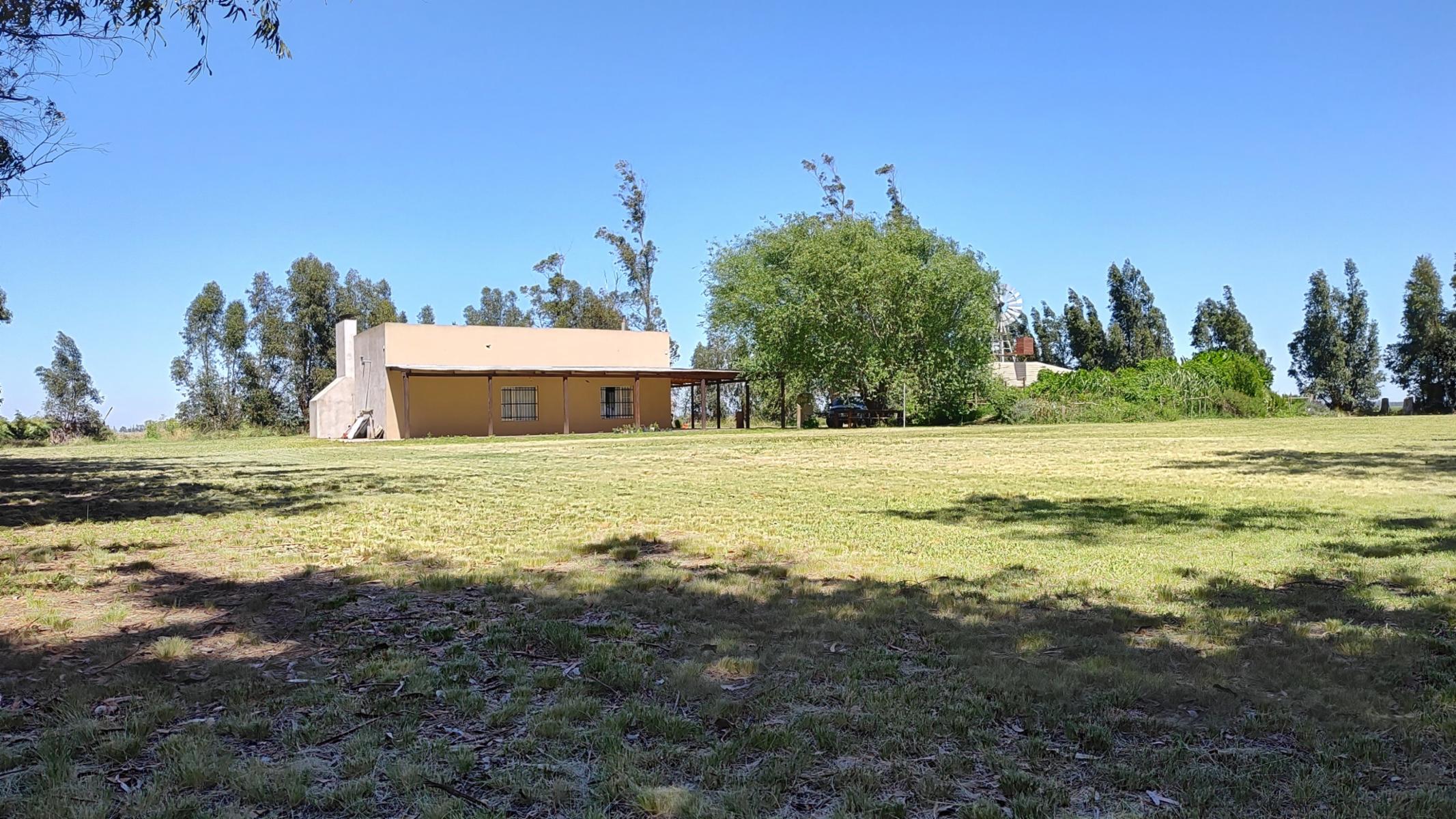 VENDO QUINTA (5 ha) (RUTA 86 KM 12-ZONA AEROCLUB NECOCHEA) · Necochea — foto 15