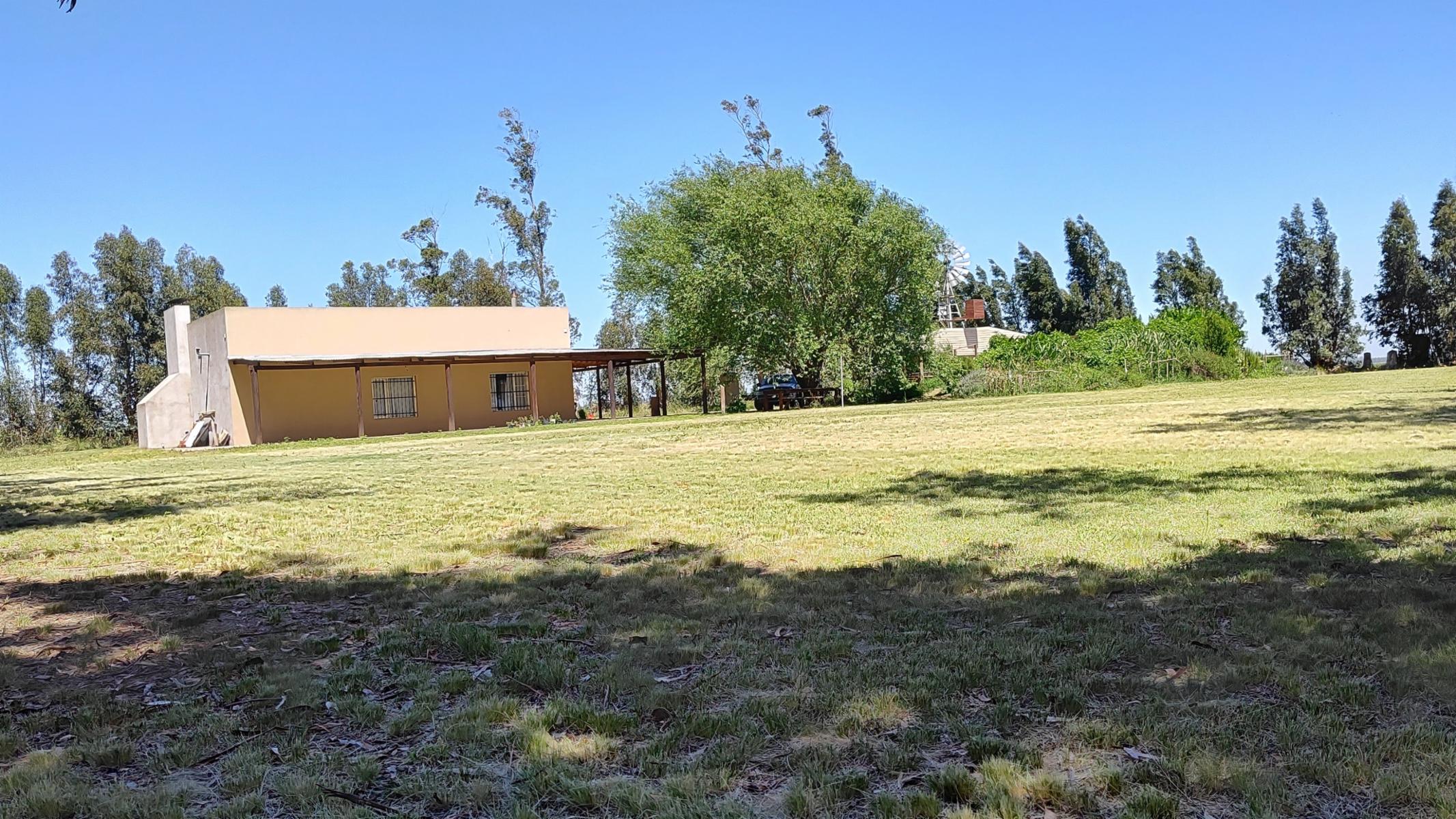 VENDO QUINTA (5 ha) (RUTA 86 KM 12-ZONA AEROCLUB NECOCHEA) · Necochea — foto 16