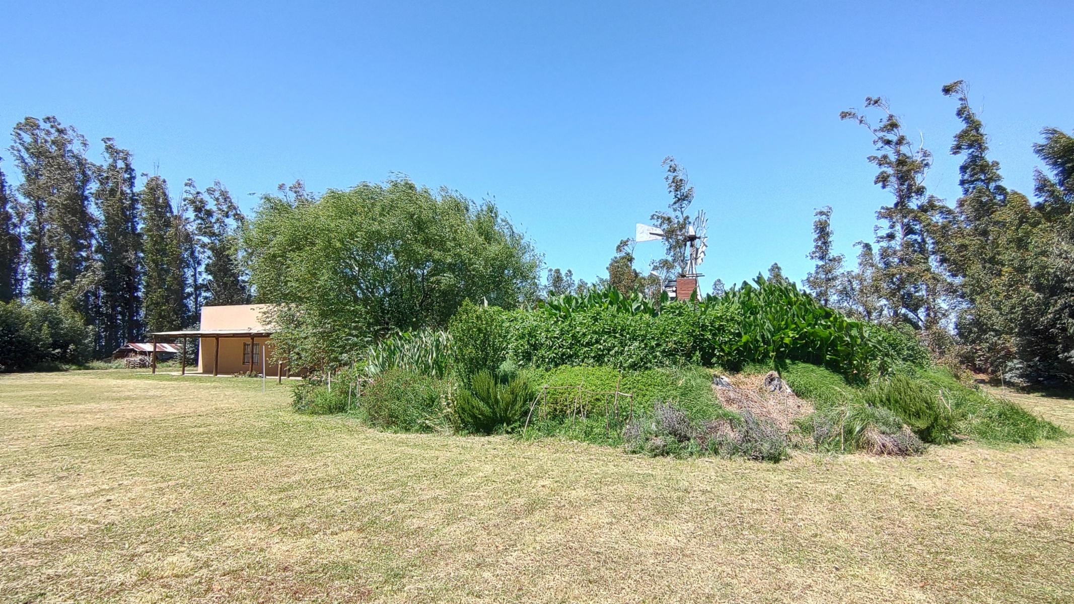 VENDO QUINTA (5 ha) (RUTA 86 KM 12-ZONA AEROCLUB NECOCHEA) · Necochea — foto 19