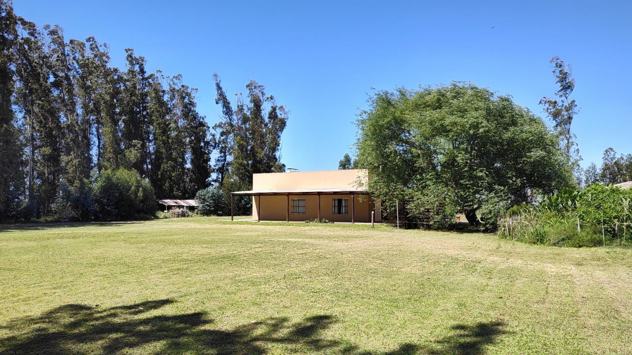 VENDO QUINTA (5 ha) (RUTA 86 KM 12-ZONA AEROCLUB NECOCHEA) · Necochea — foto 3