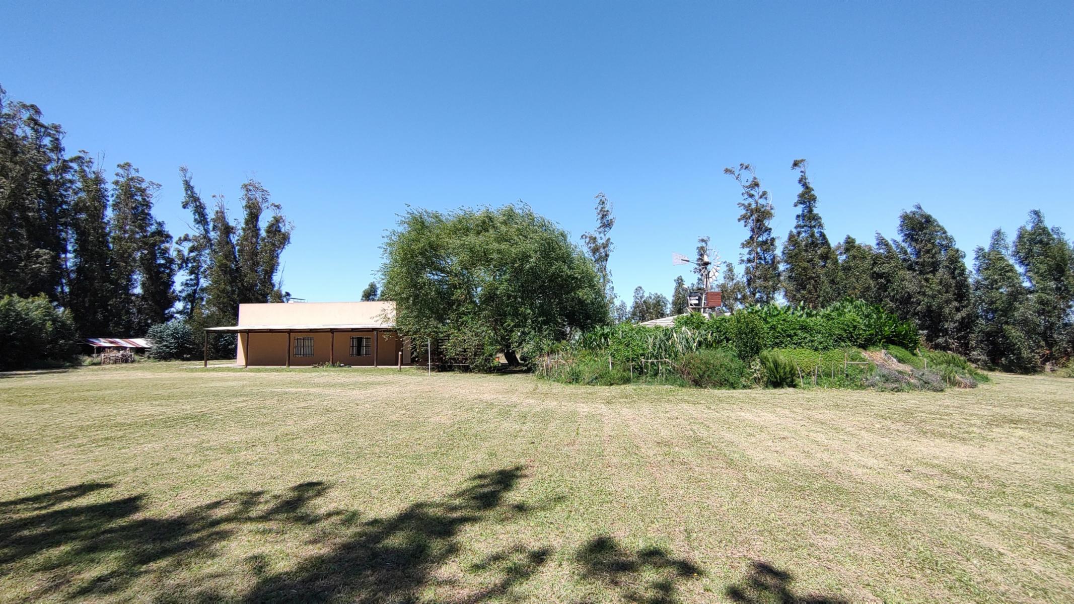 VENDO QUINTA (5 ha) (RUTA 86 KM 12-ZONA AEROCLUB NECOCHEA) · Necochea — foto 4