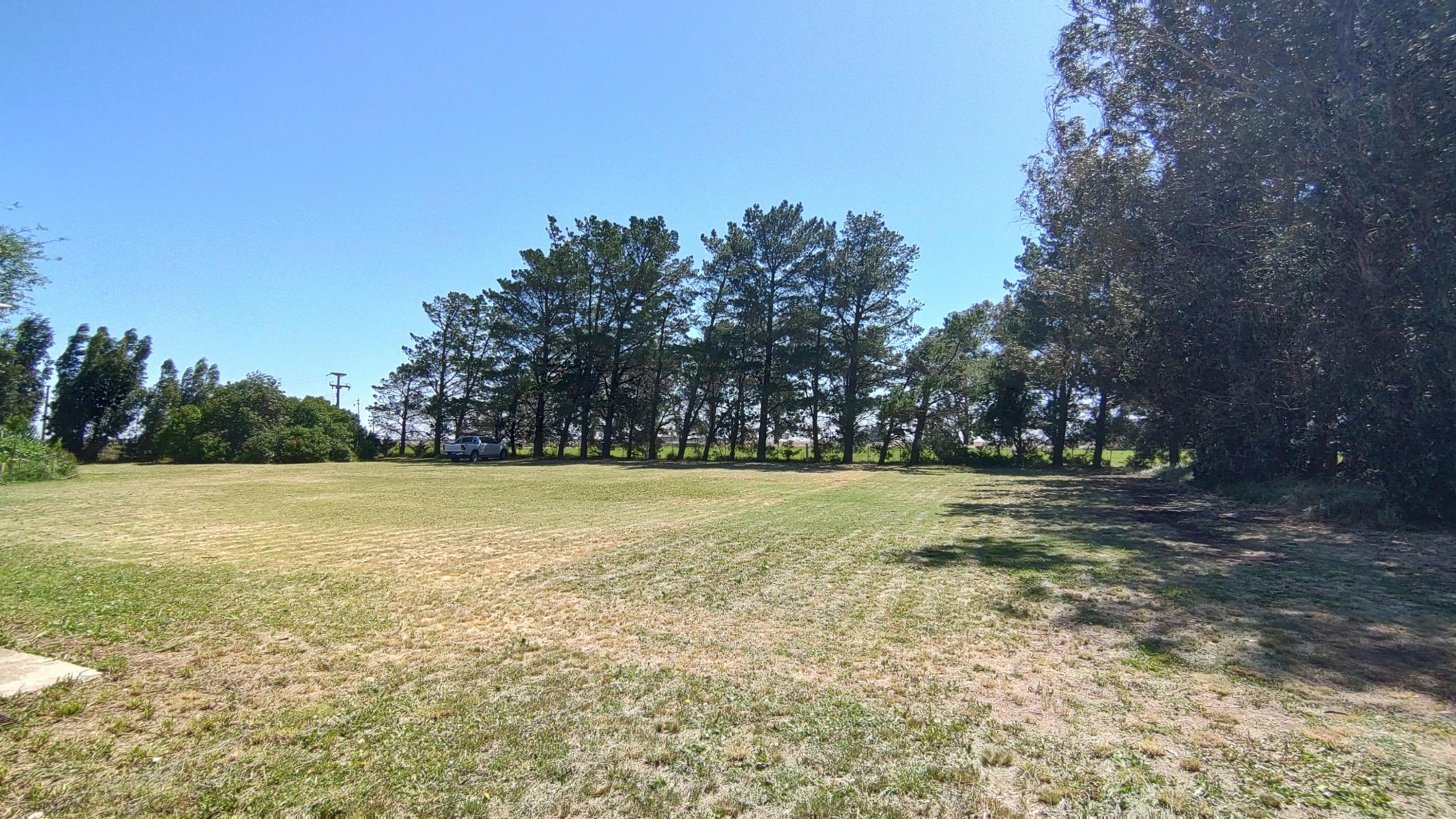 VENDO QUINTA (5 ha) (RUTA 86 KM 12-ZONA AEROCLUB NECOCHEA) · Necochea — foto 8