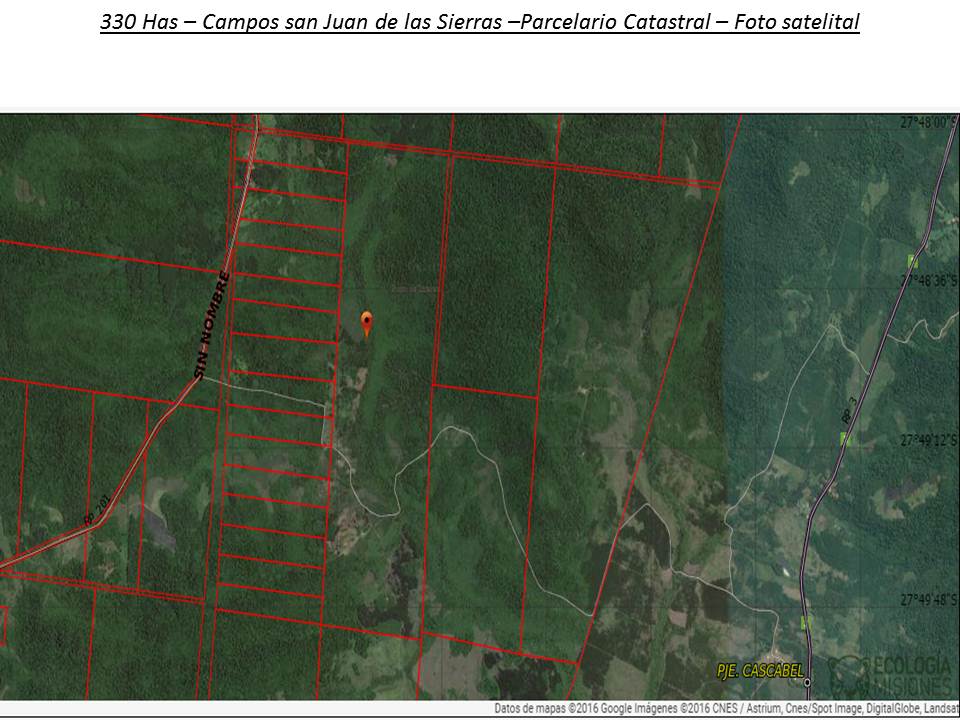 ALQUILER DE CAMPO GANADERO 330 has. -