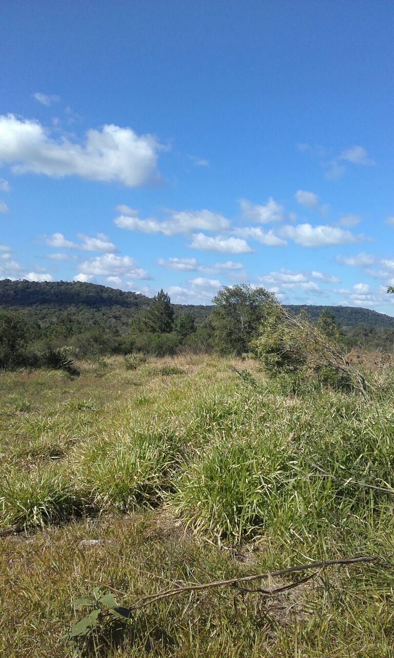 Zona rural · Apóstoles — foto 12