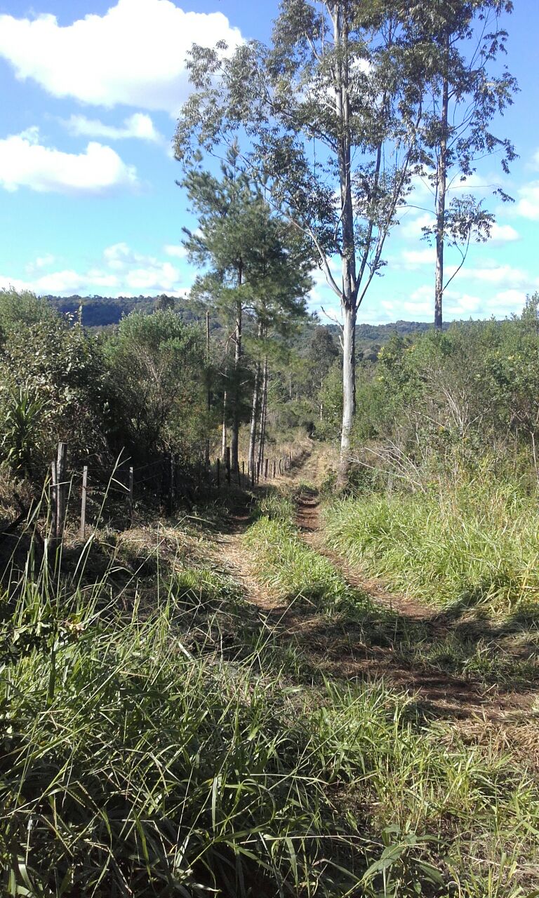 Zona rural · Apóstoles — foto 13