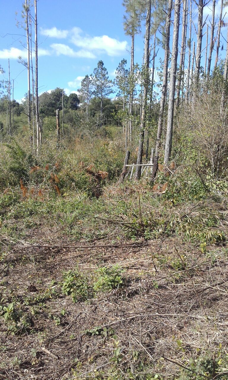 Zona rural · Apóstoles — foto 5