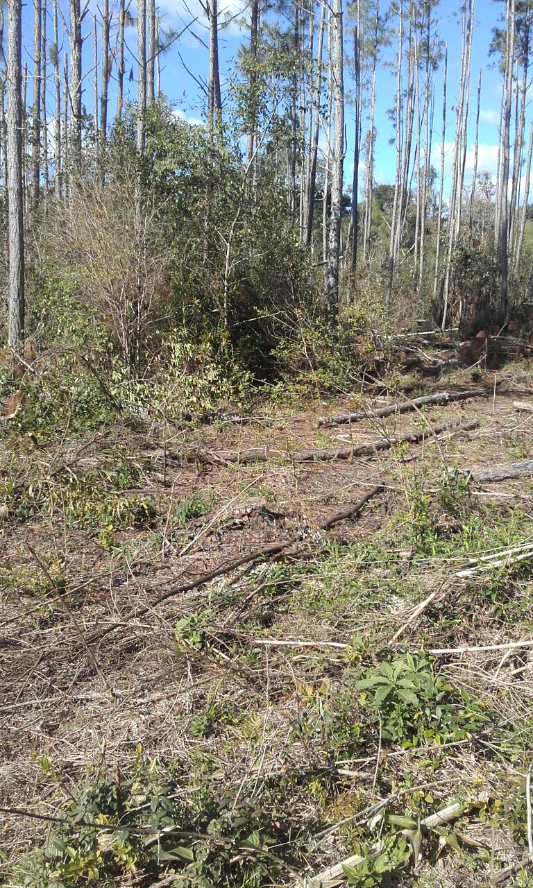 Zona rural · Apóstoles — foto 7
