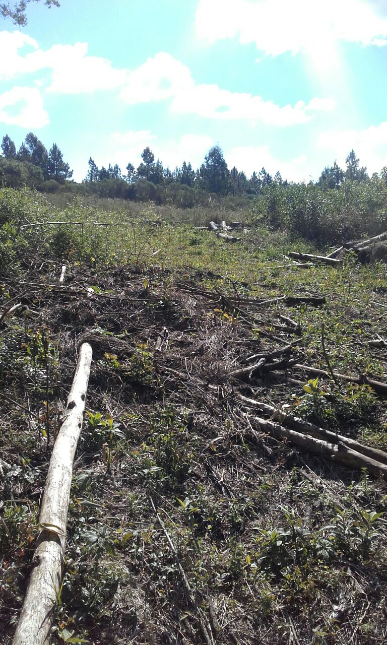 Zona rural · Apóstoles — foto 8