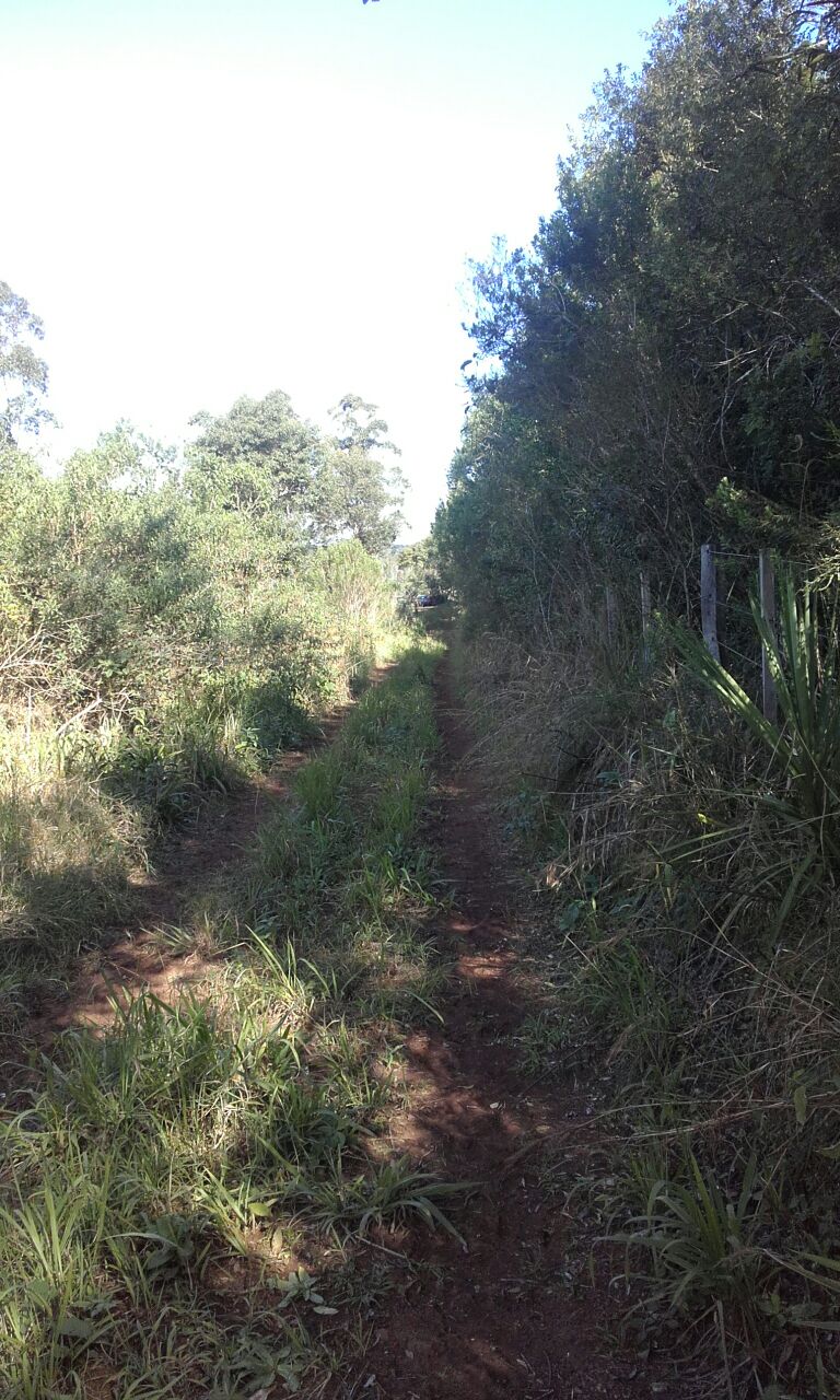 Zona rural · Apóstoles — foto 9