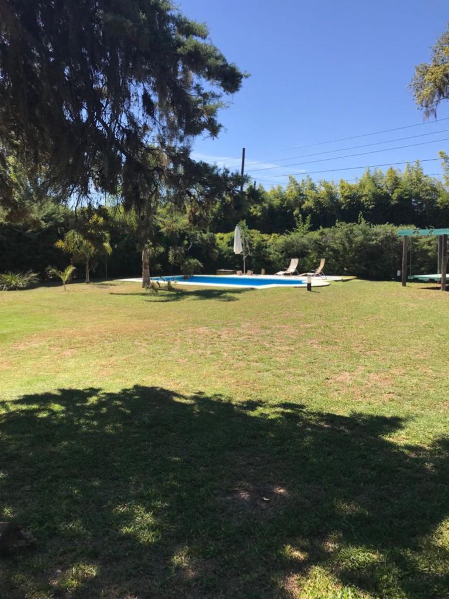 PARDO · San Miguel — foto 3