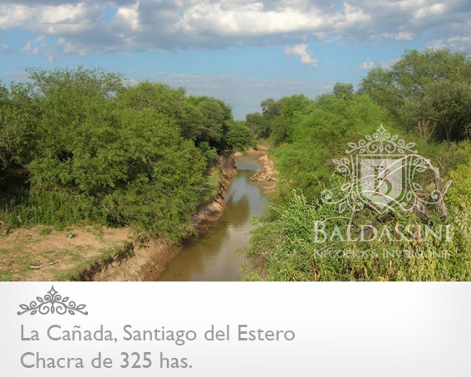CAMPO DE 325 HAS CERCA DE LA CAÑADA · Figueroa — foto 3