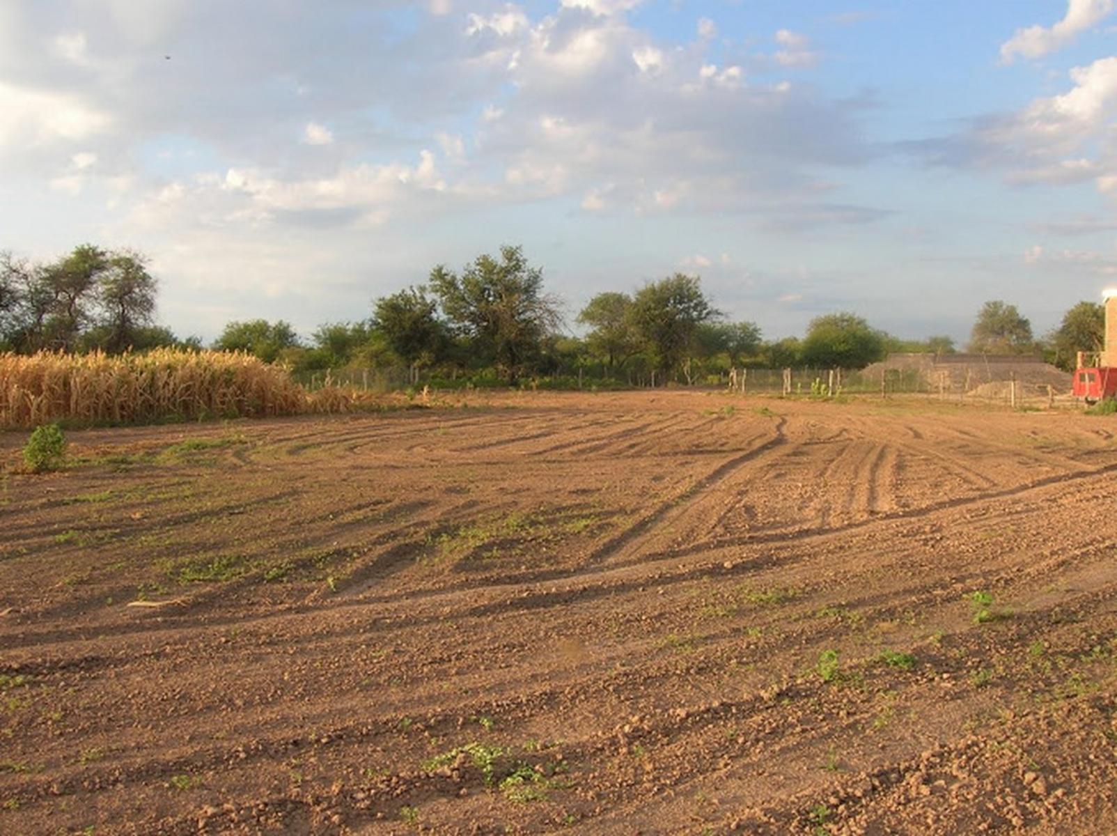 CAMPO DE 325 HAS CERCA DE LA CAÑADA · Figueroa — foto 4