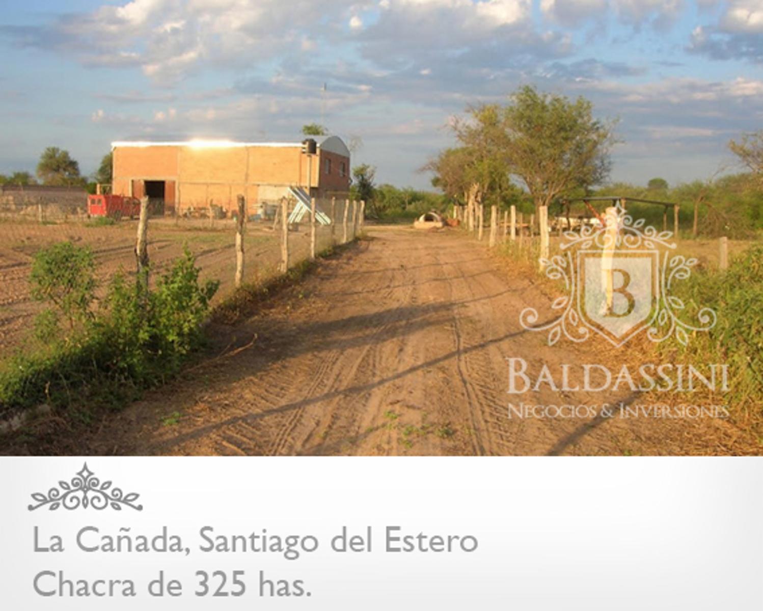 CAMPO DE 325 HAS CERCA DE LA CAÑADA · Figueroa — foto 6