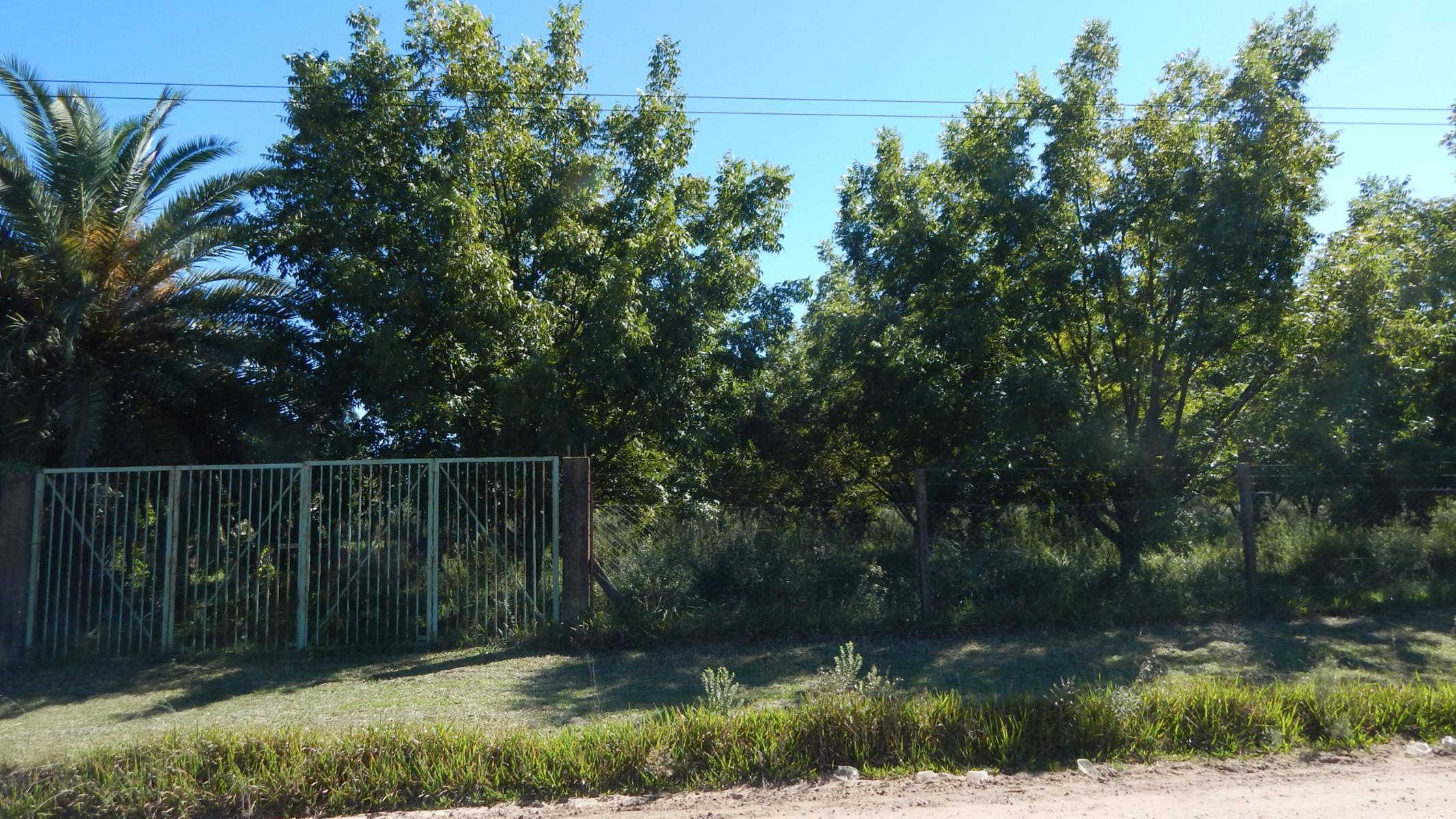 Artigas N° 2100 · Colón — foto 4