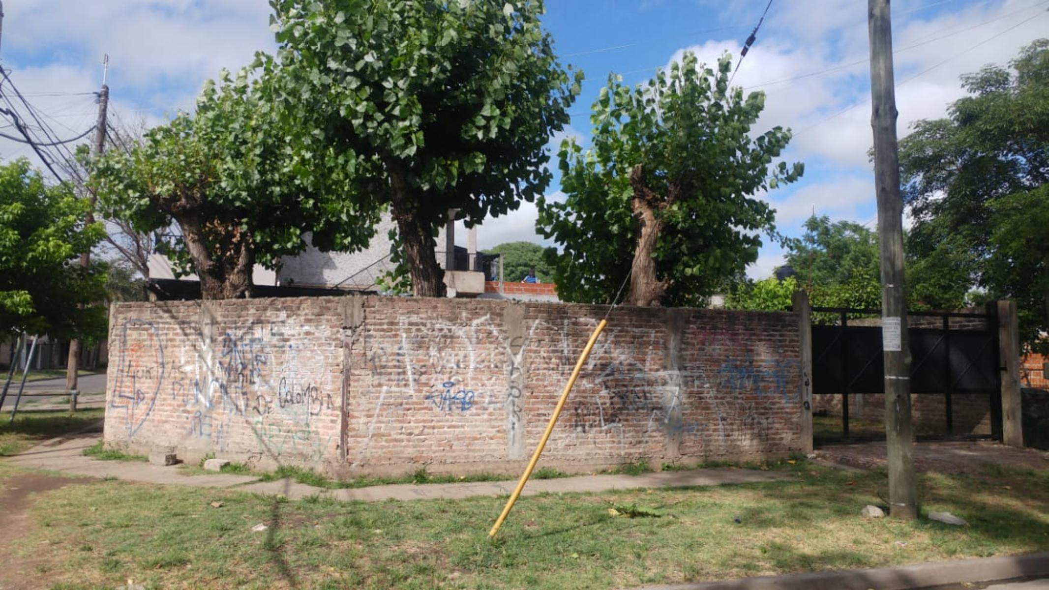 Torello 3101 · Hurlingham — foto 3