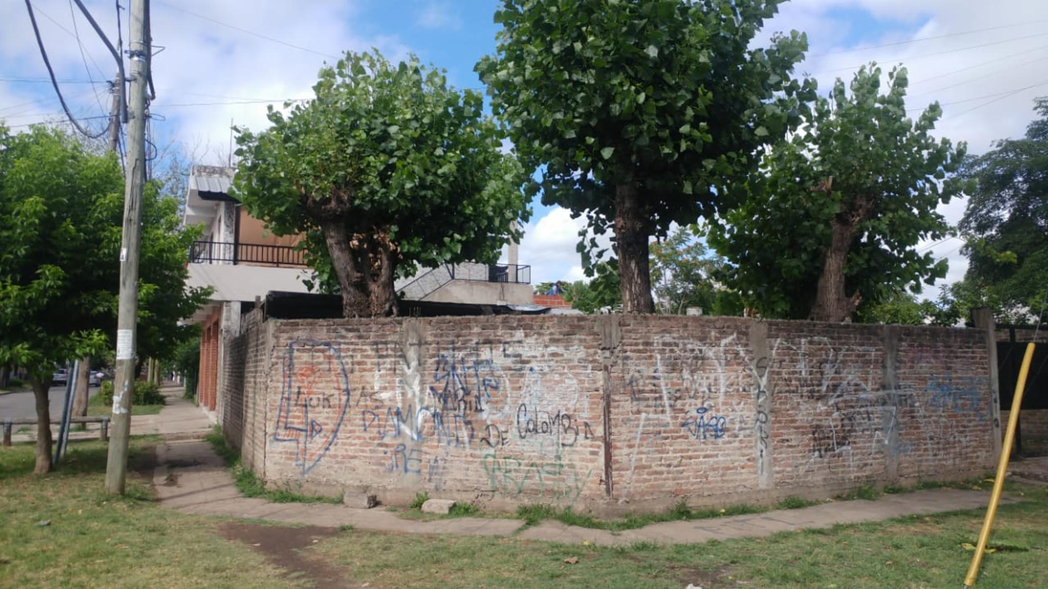 Torello 3101 · Hurlingham — foto 4