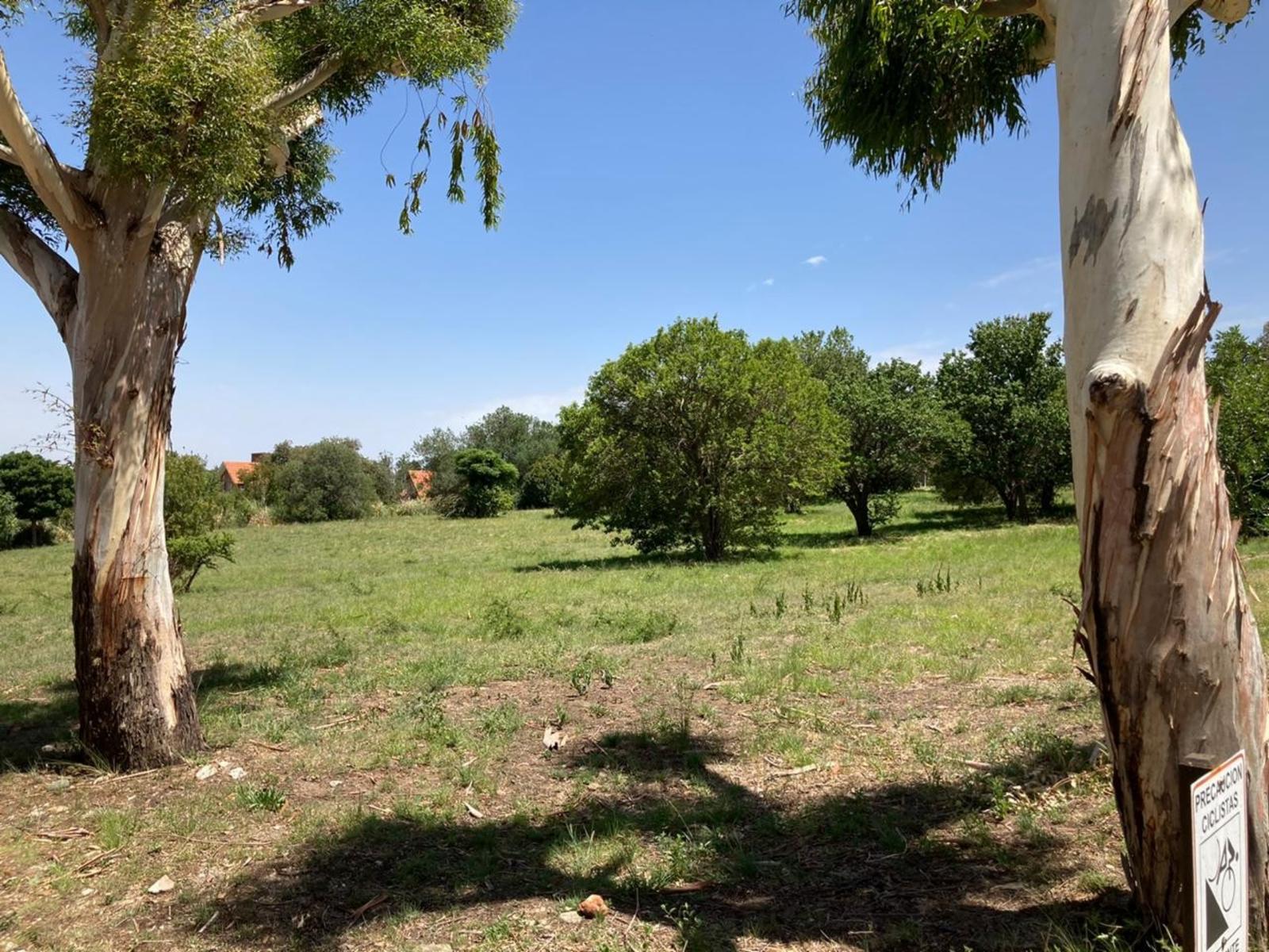 Bv. de los Indios 3 · Junín — foto 3