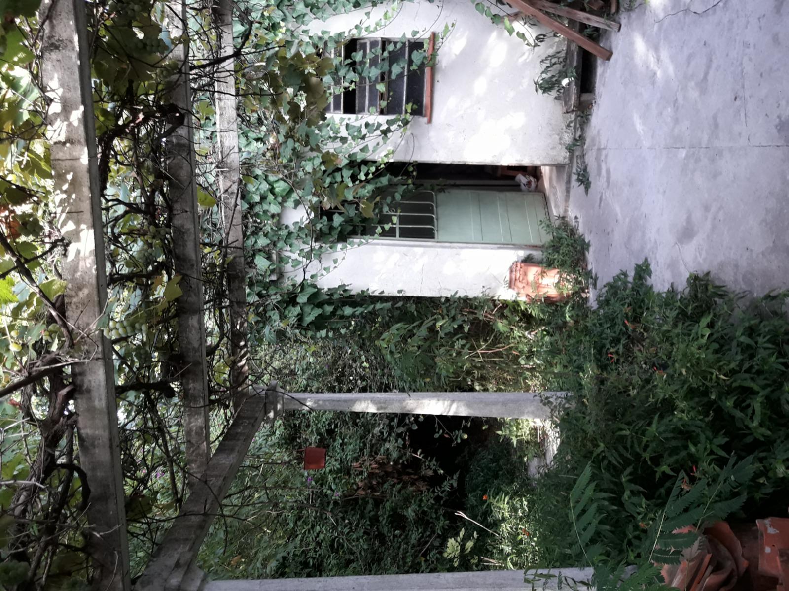 MALNATTI 1100 · San Miguel — foto 6