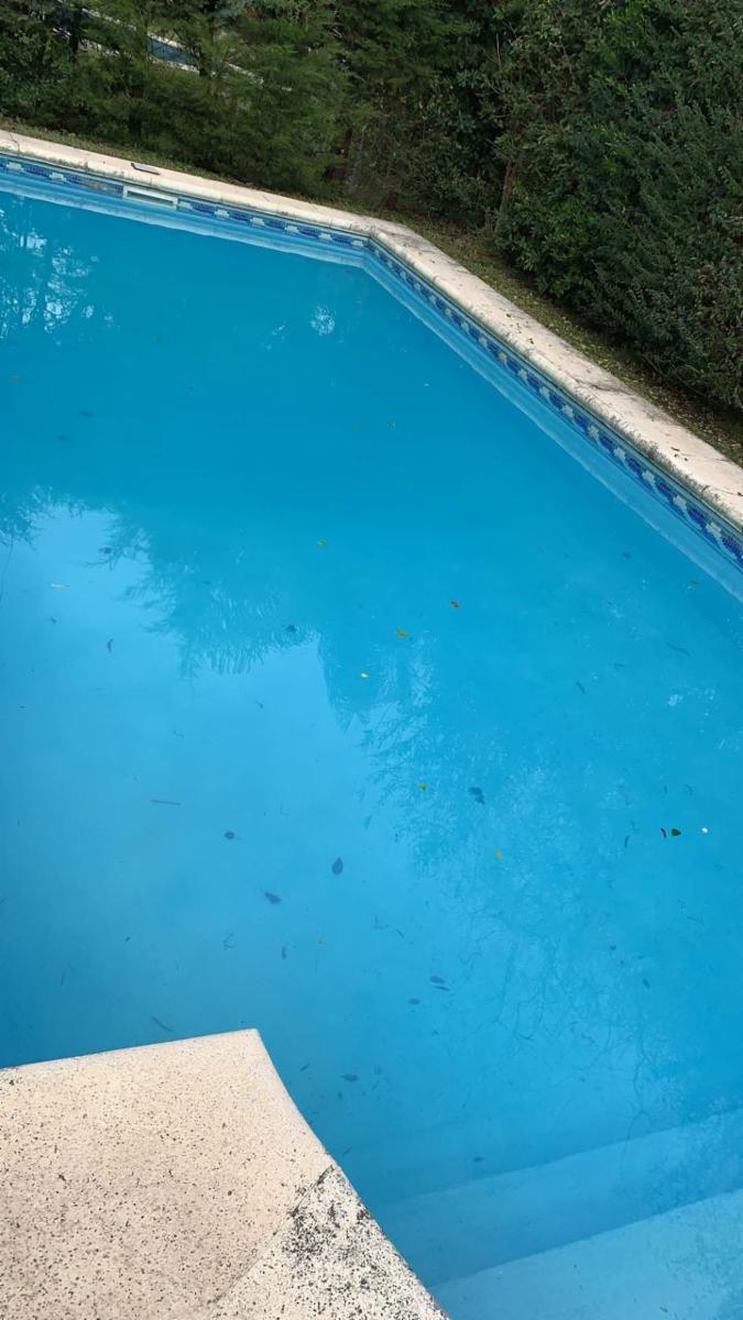 Almafuerte 3900 · Moreno — foto 24