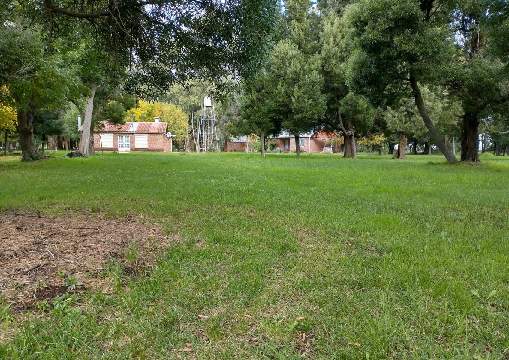 Calle Rural sin nombre · Punta Indio — foto 11