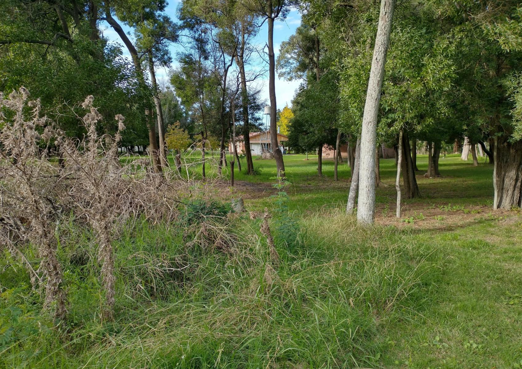 Calle Rural sin nombre · Punta Indio — foto 13