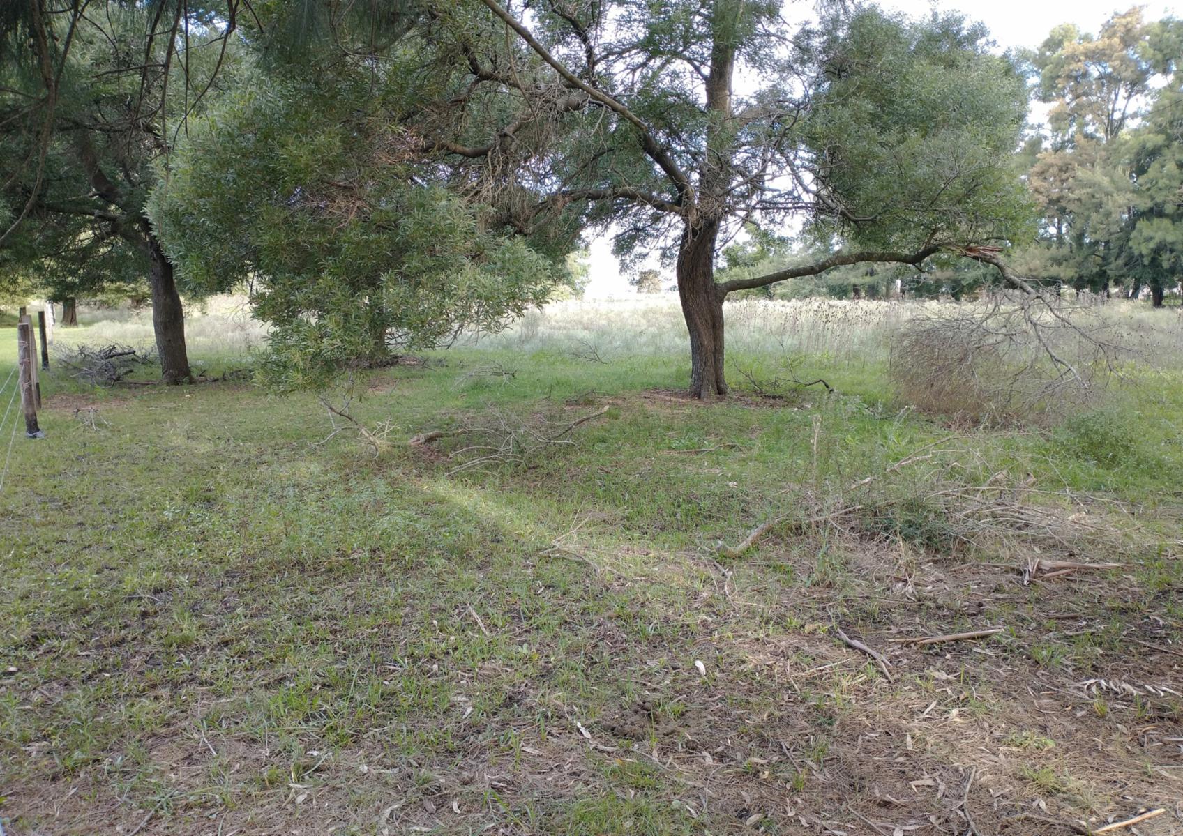 Calle Rural sin nombre · Punta Indio — foto 14